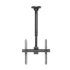 base de techo para tv 55" argom hasta 50kg